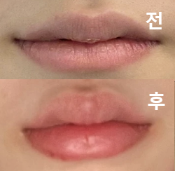 상담도 꼼꼼하고 가격도 합리적이었어요!
